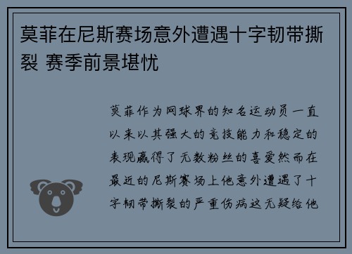 莫菲在尼斯赛场意外遭遇十字韧带撕裂 赛季前景堪忧 莫菲在尼斯赛场意外遭遇十字韧带撕裂 赛季前景堪忧